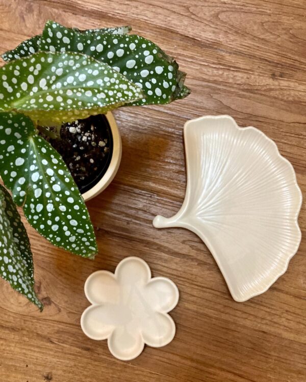 Coupelle jesmonite décoration intérieur végétale feuille ginkgo