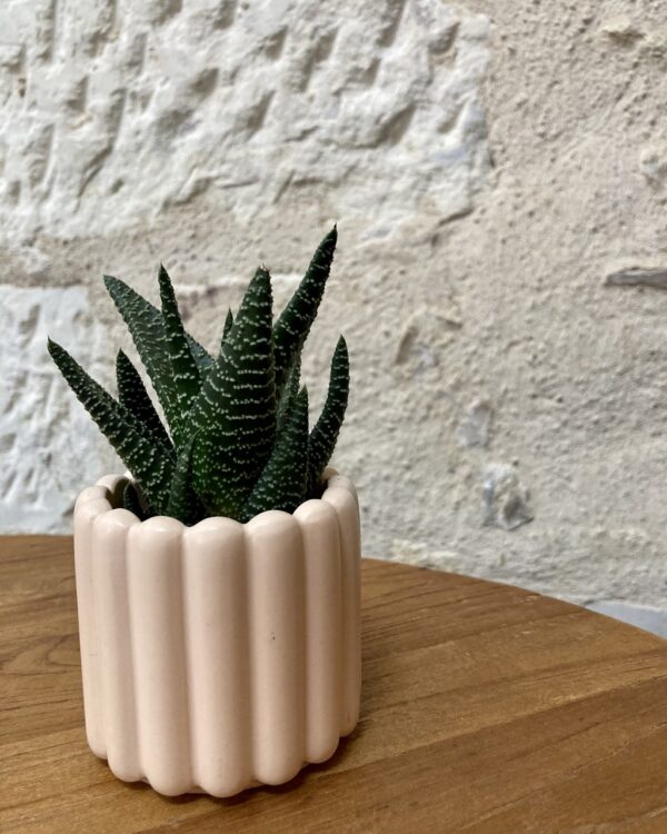 Cache pot beige en Jesmonite (matière naturelle) – Image 2