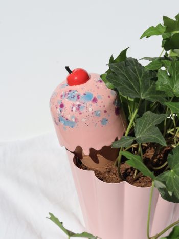 Olla glace fraise 🍓