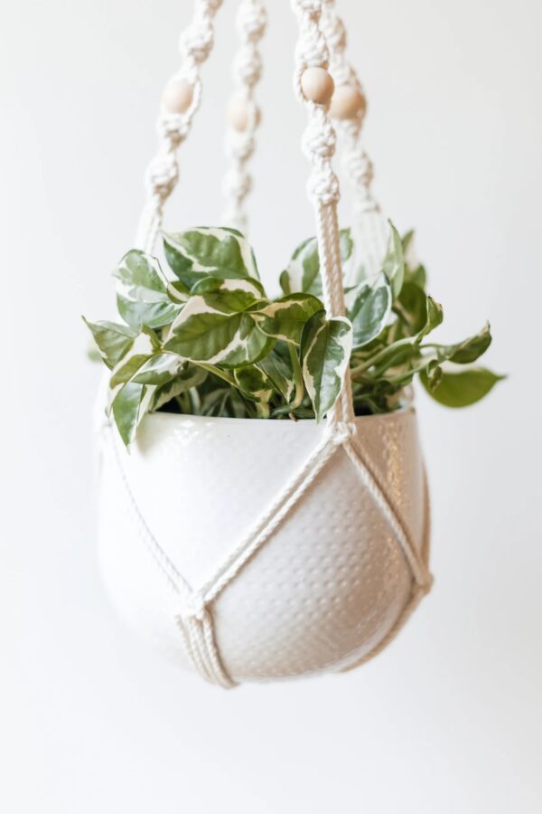 Suspension plante macramé avec perles en bois pot max. 15cm – Image 3