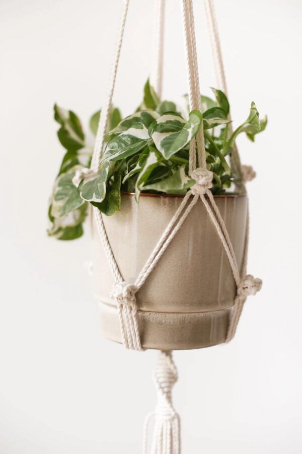 Suspension pour Plantes en Macramé pot max. 14cm – Image 4