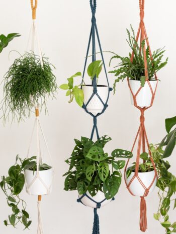 Double suspension pour Plantes en Macramé pot max. 14cm