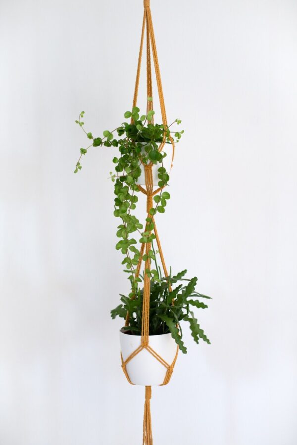 Double Suspension macramé Minimaliste pour Plantes pot max. 12,5cm – Image 4