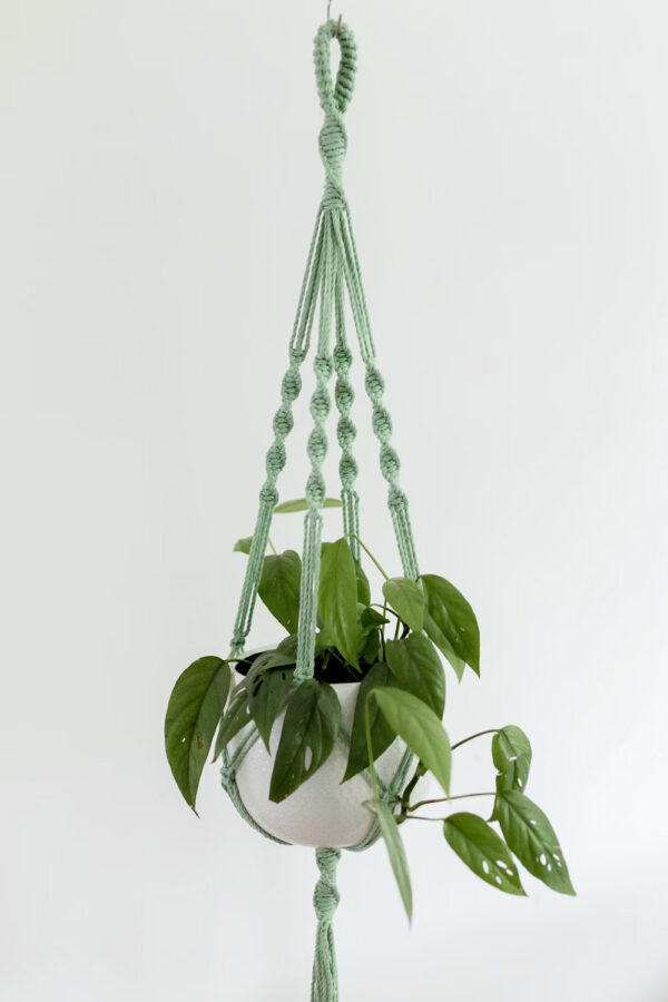 Suspension pour plantes en macramé - fait main en coton recyclé – Image 2