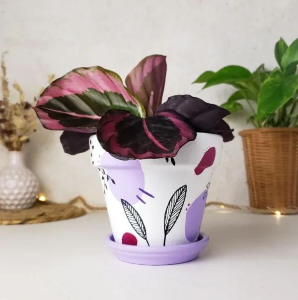 Cache pot en terre cuite blanc et violet – Image 5