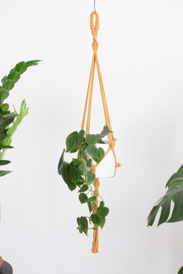 Suspension pour Plantes en Macramé