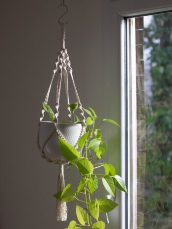 Suspension pour plantes macramé