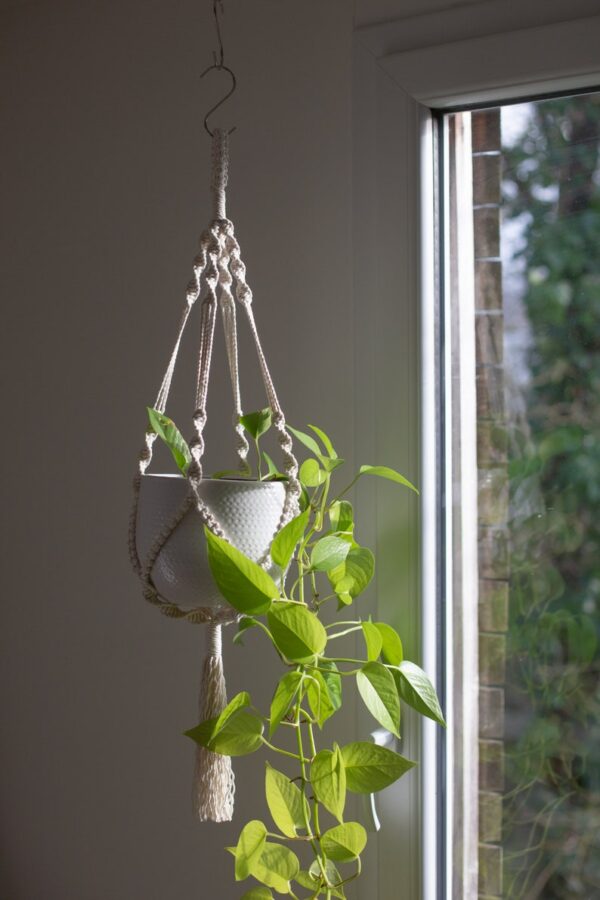 Suspension pour plantes macramé