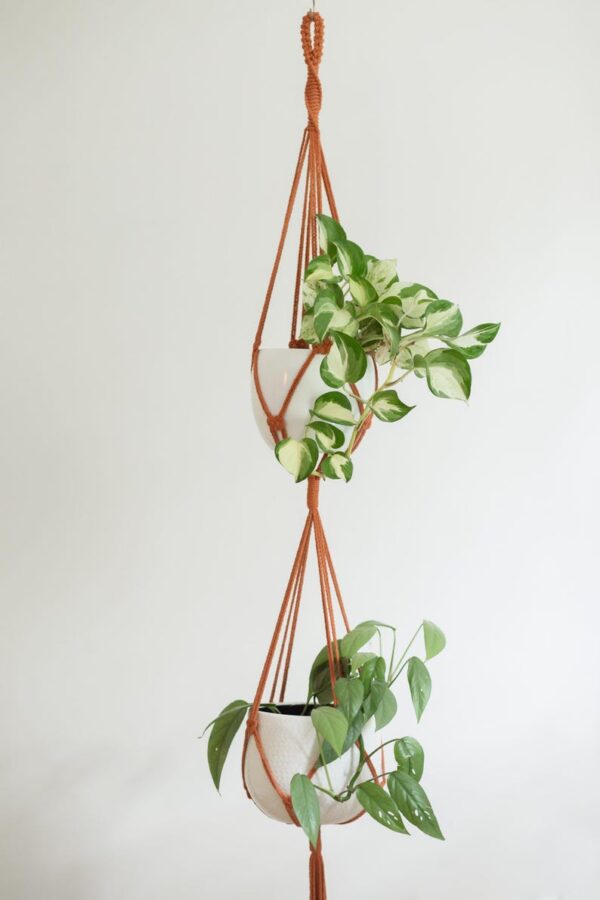 Double suspension pour plantes en macramé, pour pots max. 15cm – Image 5