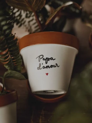 Pot de fleur fête des pères