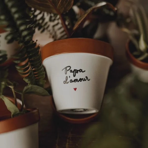 Pot de fleur fête des pères