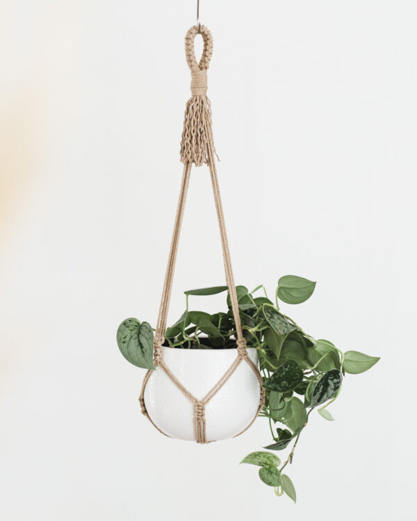 Suspension plante macramé - pot max. 15cm