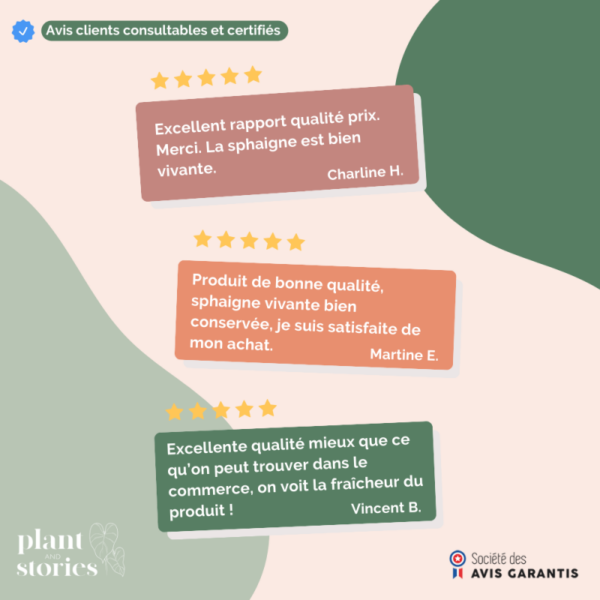 Sphaigne Vivante - Sphaigne Pour Plante - Mousse De Sphaigne - Sphaigne Vivante Pour Plante +/- 5L - Image 7
