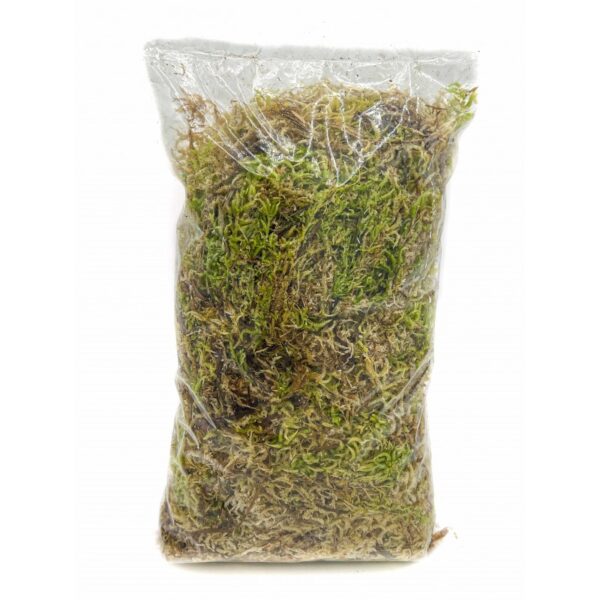 Sphaigne Vivante - Sphaigne Pour Plante - Mousse De Sphaigne - Sphaigne Vivante Pour Plante +/- 5L - Image 2