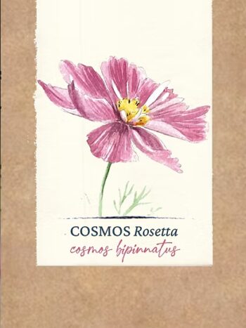 Cosmos "Rosetta" BIO
