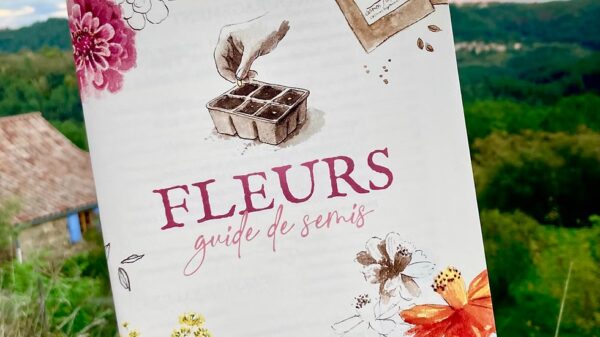 Guide de Semis – Image 4
