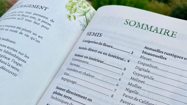 Guide de Semis – Image 2