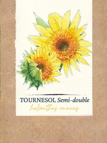 Tournesol "Semi-double"