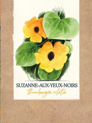 Suzanne-aux-yeux-noirs BIO
