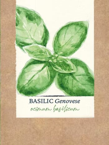 Basilic "Genovese" BIO