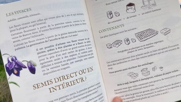 Guide de Semis – Image 3