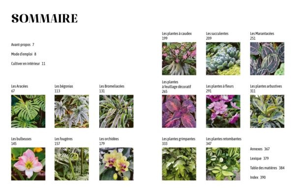 Sommaire encyclopédie des plantes d'intérieur par Solène Moutardier