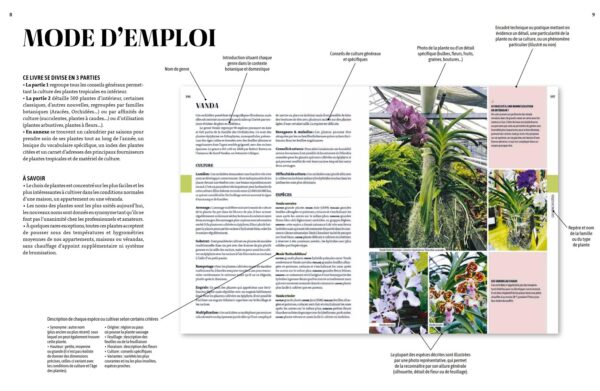 Mode d'emploi encyclopédie des plantes d'intérieur par Solène Moutardier