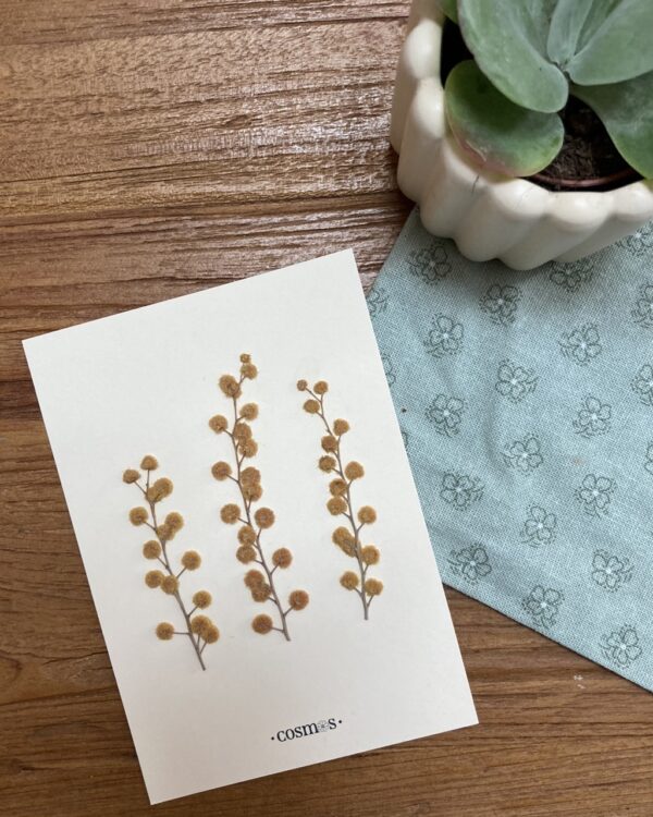 Herbier - Mimosa (sans cadre)