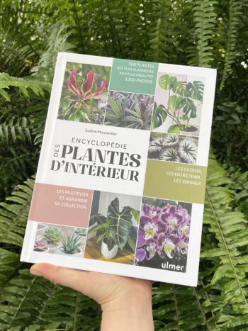 Livre encyclopédie des plantes d'intérieur par Solène Moutardier