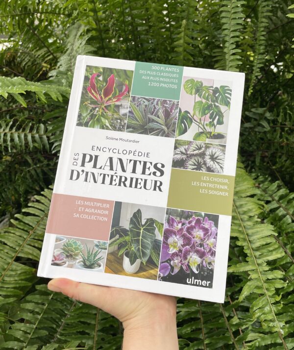 Livre encyclopédie des plantes d'intérieur par Solène Moutardier