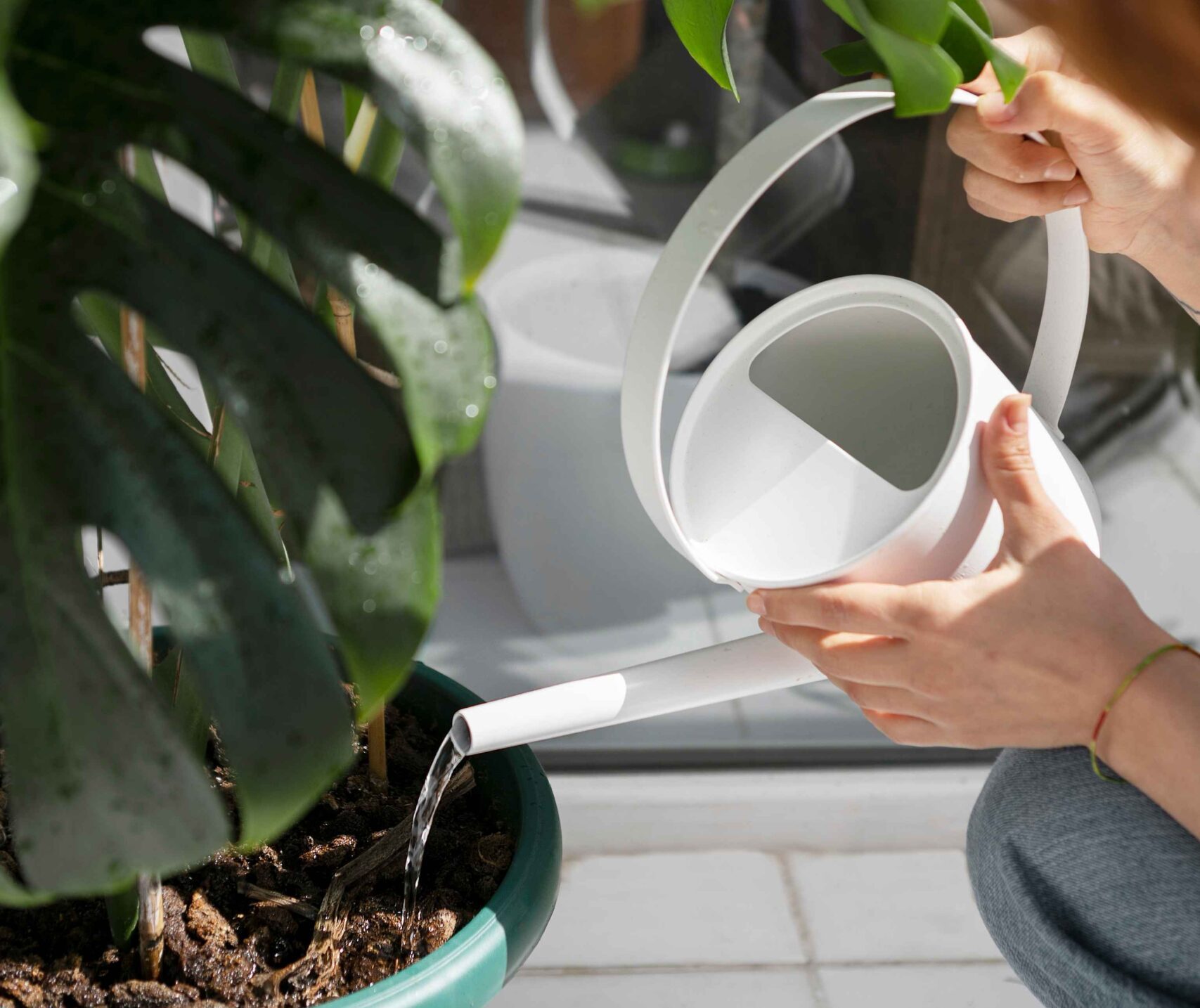 Comment entretenir les plantes pendant les vacances