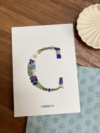 Herbier - lettre C - 15x21 cm