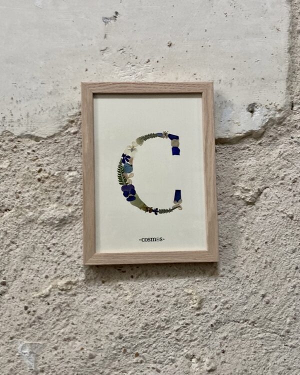 Herbier - lettre C - 15x21 cm – Image 2