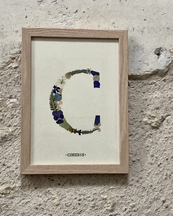 Herbier - lettre C - 15x21 cm – Image 3
