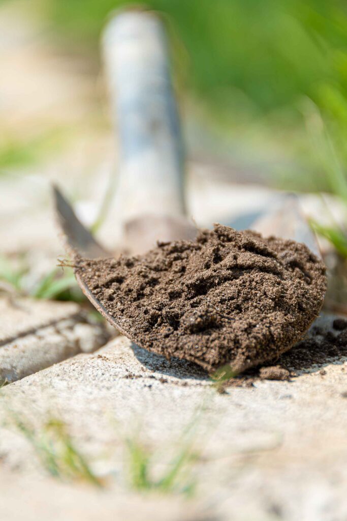 Engrais naturel bio